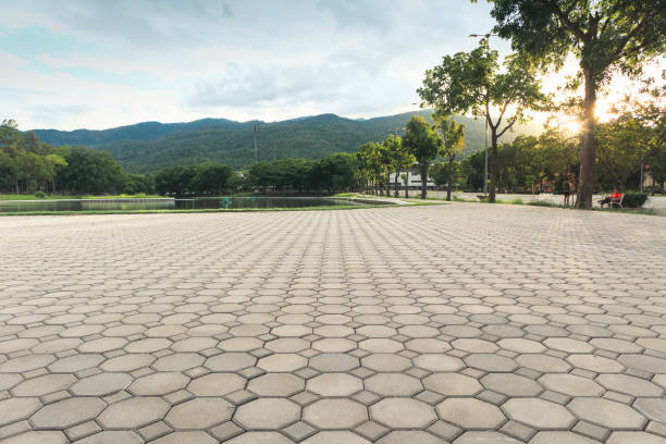 Best Driveway Pavers Near Me  in Pomona, NJ