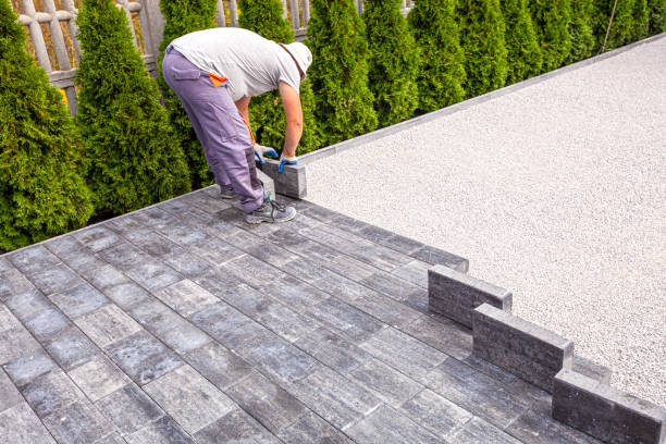 Best Local Driveway Pavers  in Pomona, NJ